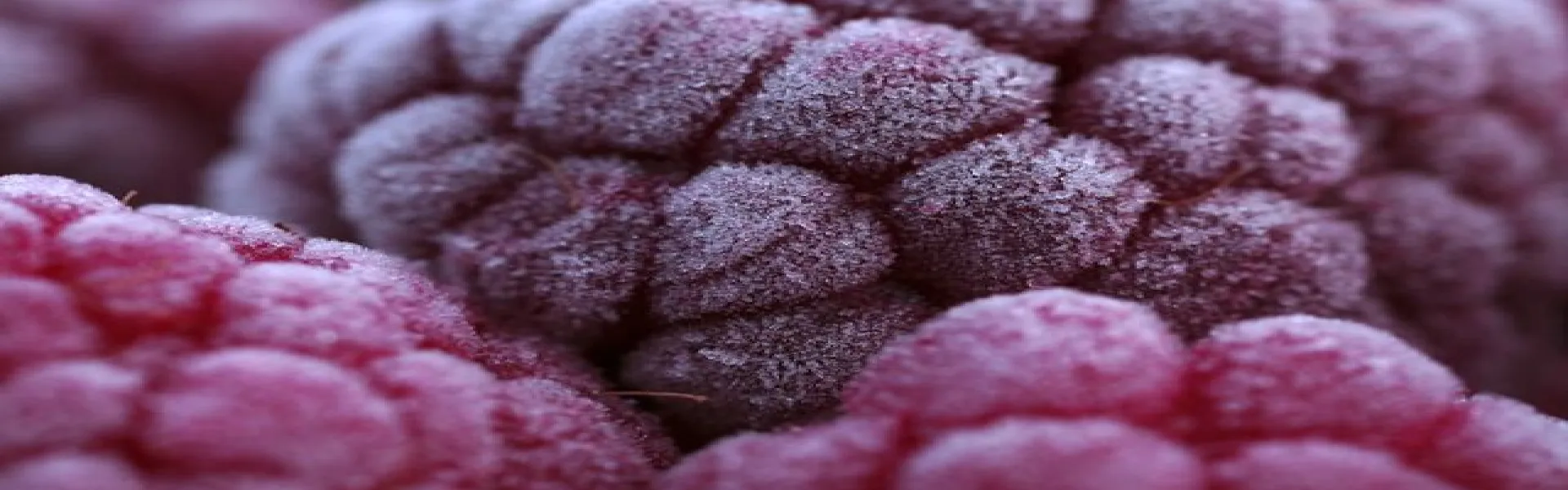 Cryogénie alimentaire et équipements