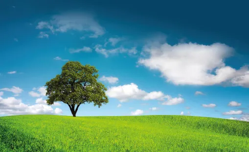 CO2 отпечатък и оперативни разходи