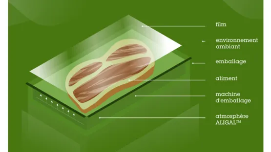 Schéma conditonnement