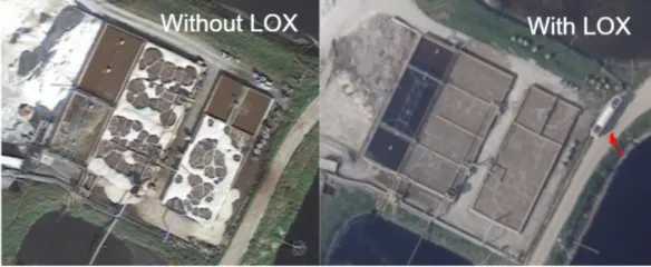 De rechter foto toont een Pure O2 gevoede biologie die schuim, geur en uitstoot vermijdt.