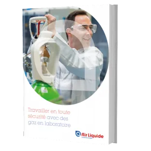 ebook travailler en toute sécurité avec les gaz en laboratoire