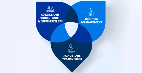 Variété de carrières